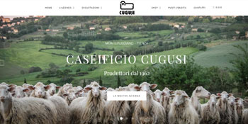 Caseiicio Cugusi  Website